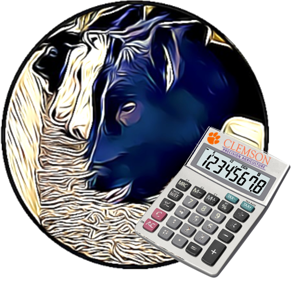 Livestock Feed Ration Calculator