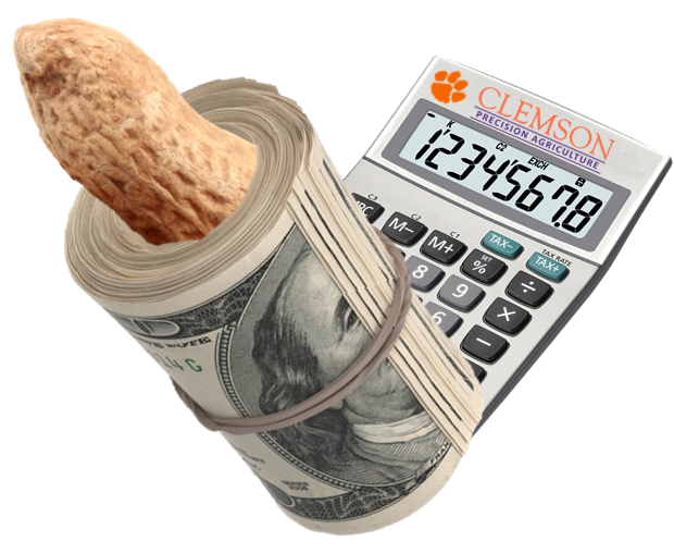 Peanut Loan Rate Calculator Icon
